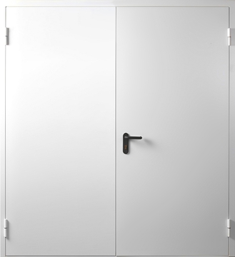 Двупольная глухая противопожарная дверь Двупольная глухая противопожарная дверь